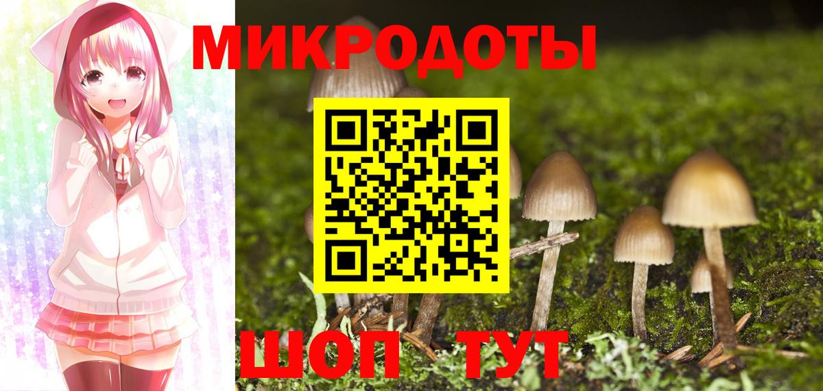 Галлюциногенные грибы GOLDEN TEACHER Мурино