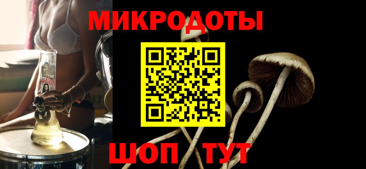 Мурино  где найти   Вход с VPN  Галлюциногенные грибы GOLDEN TEACHER  Галлюциногенные грибы мухоморы 