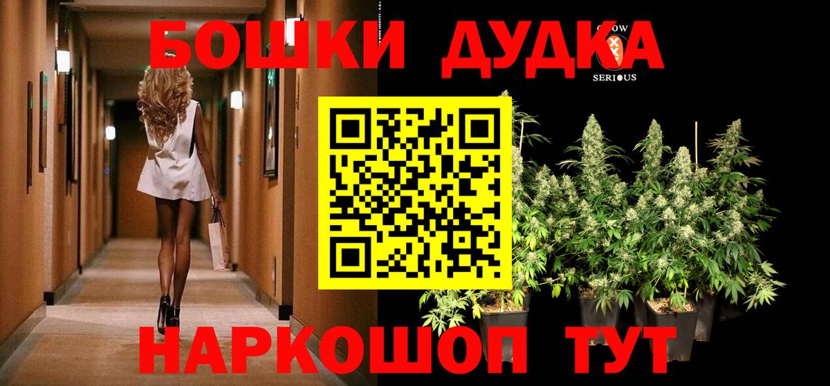 Каннабис OG Kush Мурино